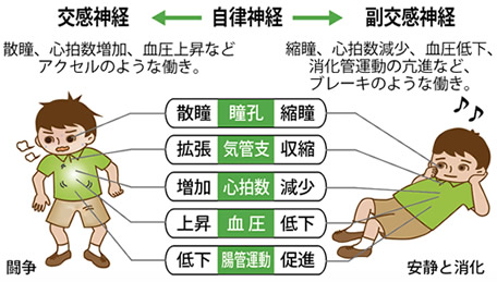 恐ろしい歯周病菌