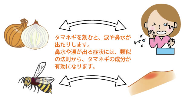 ホメオパシー療法